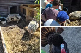 Wycieczka do Powsina na Farmę „Cztery Pory Roku”