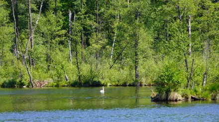 Wycieczka do Mazowieckiego Parku Krajobrazowego