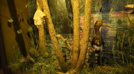 Wycieczka do Mazowieckiego Parku Krajobrazowego