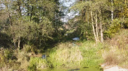 Przyrodnicze szlaki Mazowsza - Chojnowski Park Krajobrazowy