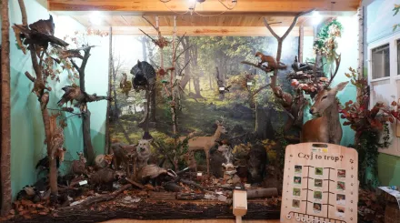 Wycieczka do Kozienickiego Parku Krajobrazowego