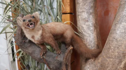 Przyrodnicze szlaki Mazowsza - Nadbużański Park Krajobrazowy
