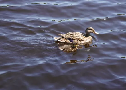 Wycieczka do Mazowieckiego Parku Krajobrazowego