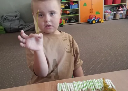 To już jesień - dokąd odlatują bociany?