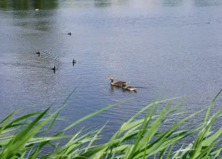 Wycieczka do Raszyna