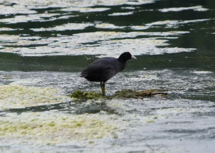 Wycieczka do Raszyna