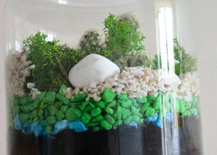 Las w soiku w wykonaniu uczniów klasy 1A