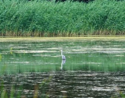 Wycieczka do Raszyna
