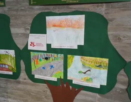 Zakończenie projektu: „Przyrodnicze szlaki Mazowsza”.