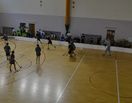 XIV Turniej Unihokeja 20.11.2024 r.