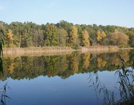 Przyrodnicze szlaki Mazowsza - Chojnowski Park Krajobrazowy