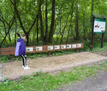 Przyrodnicze szlaki Mazowsza