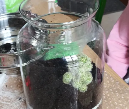 Las w soiku w wykonaniu uczniów klasy 1A