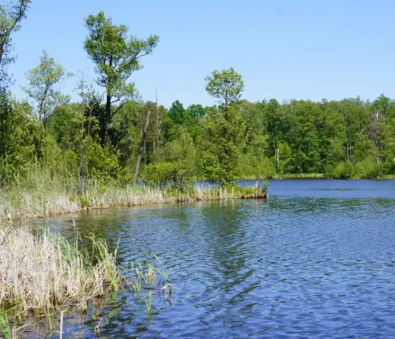 Wycieczka do Mazowieckiego Parku Krajobrazowego