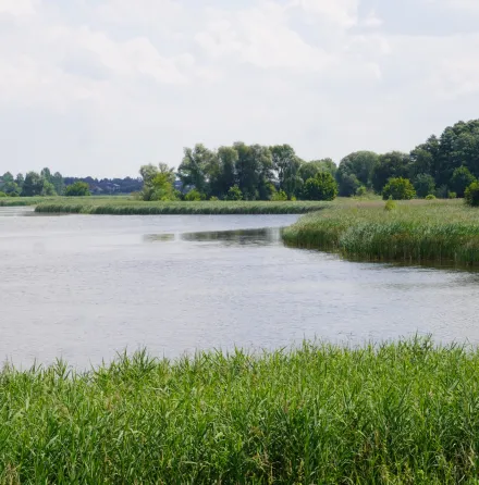 Wycieczka do Raszyna