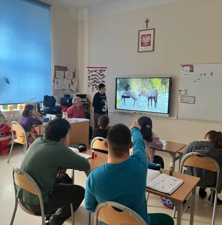 Lekcja o reniferach – wykład przygotowany przez Alana z klasy 6