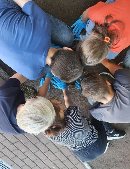 Akcja Sprzątanie Świata