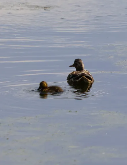 Wycieczka do Raszyna