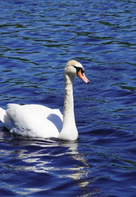 Wycieczka do Mazowieckiego Parku Krajobrazowego