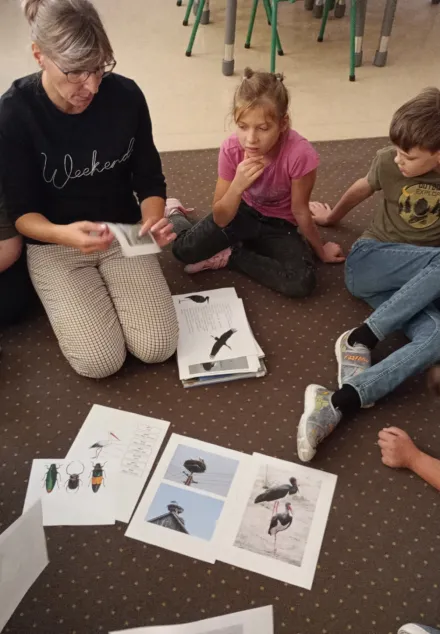 To już jesień - dokąd odlatują bociany?