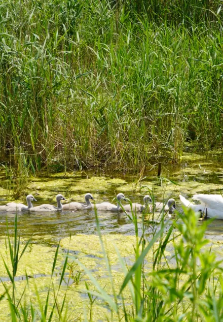 Wycieczka do Raszyna