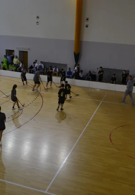 XIV Turniej Unihokeja 20.11.2024 r.