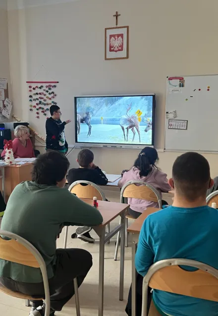 Lekcja o reniferach – wykład przygotowany przez Alana z klasy 6
