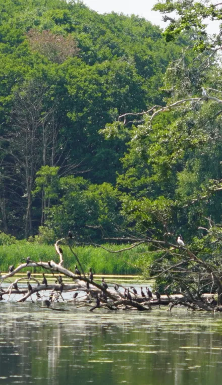 Wycieczka do Raszyna