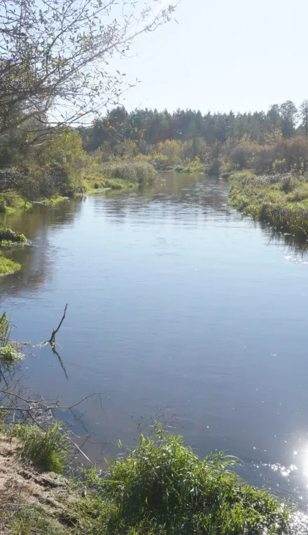 Przyrodnicze szlaki Mazowsza - Nadbużański Park Krajobrazowy