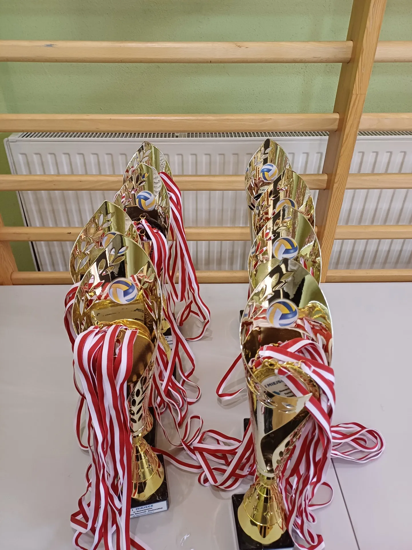 Miedzyszkolny Towarzyski Turniej Rzucanki Siatkarskiej WIE 2024