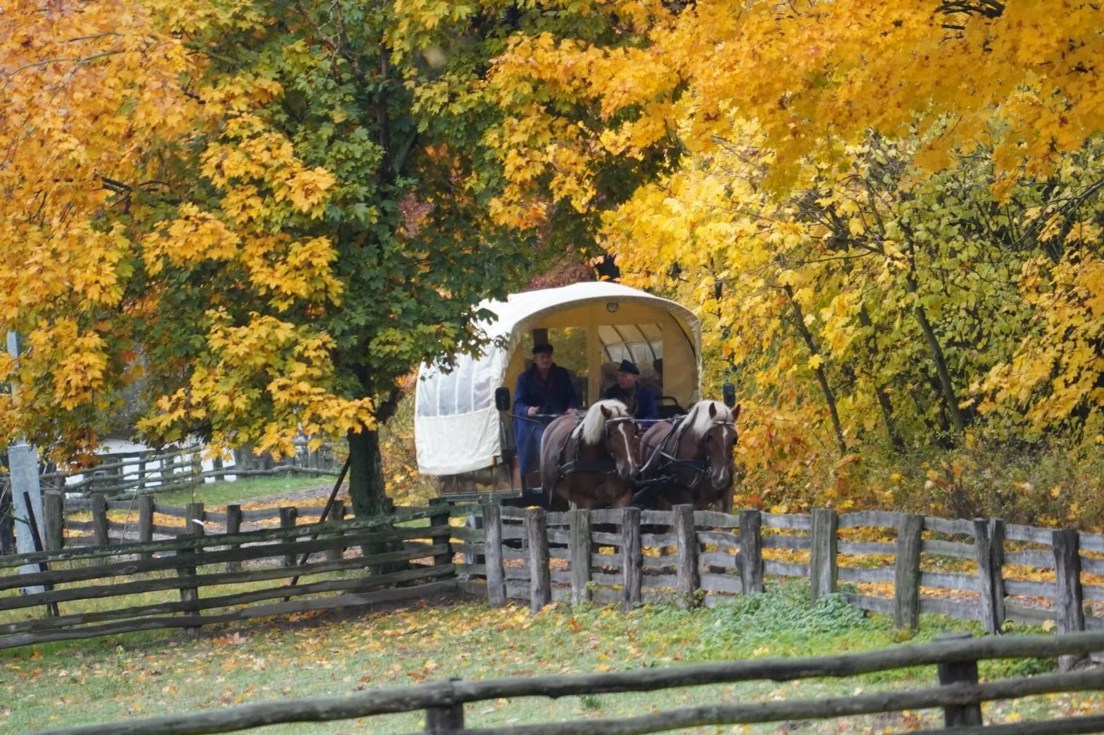Skansen Wsi Mazowieckiej w Sierpcu