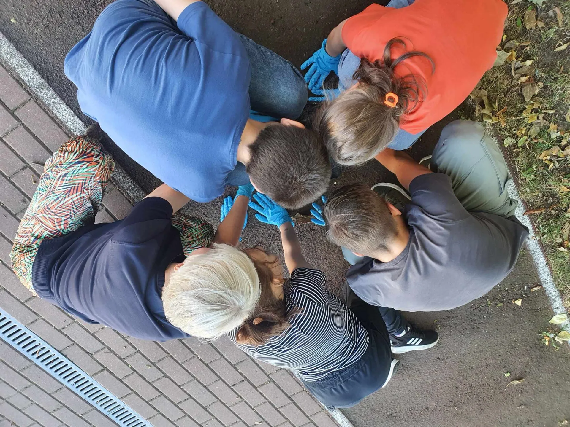 Akcja Sprzątanie Świata