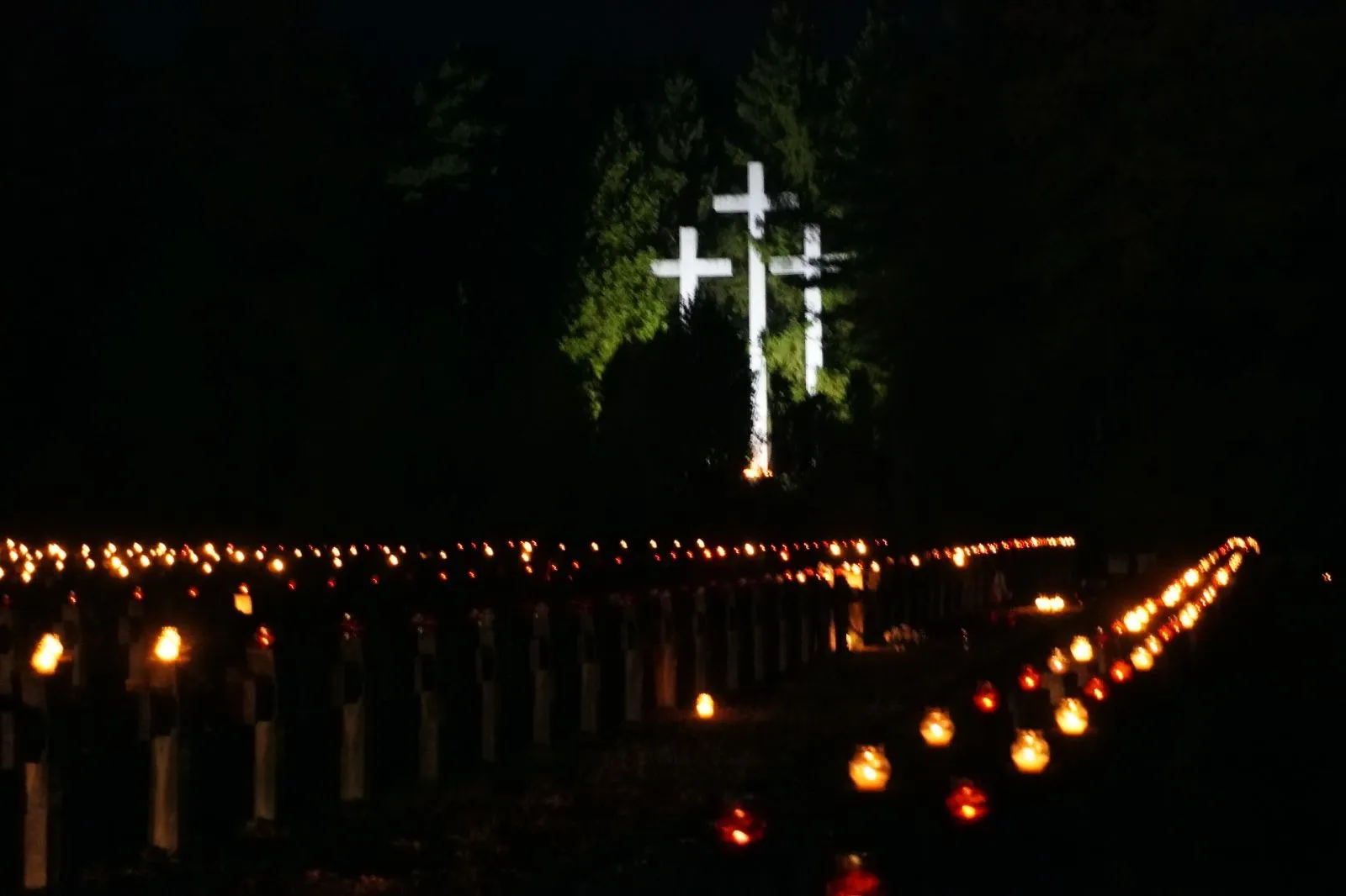 63 Centralny Zlot Młodzieży Palmiry 2023