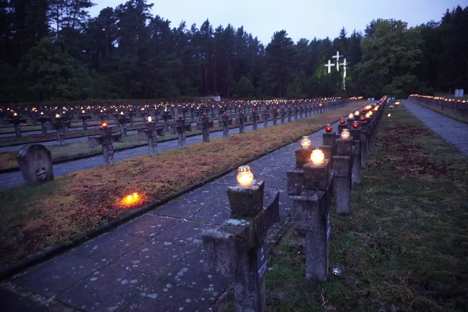63 Centralny Zlot Młodzieży Palmiry 2023