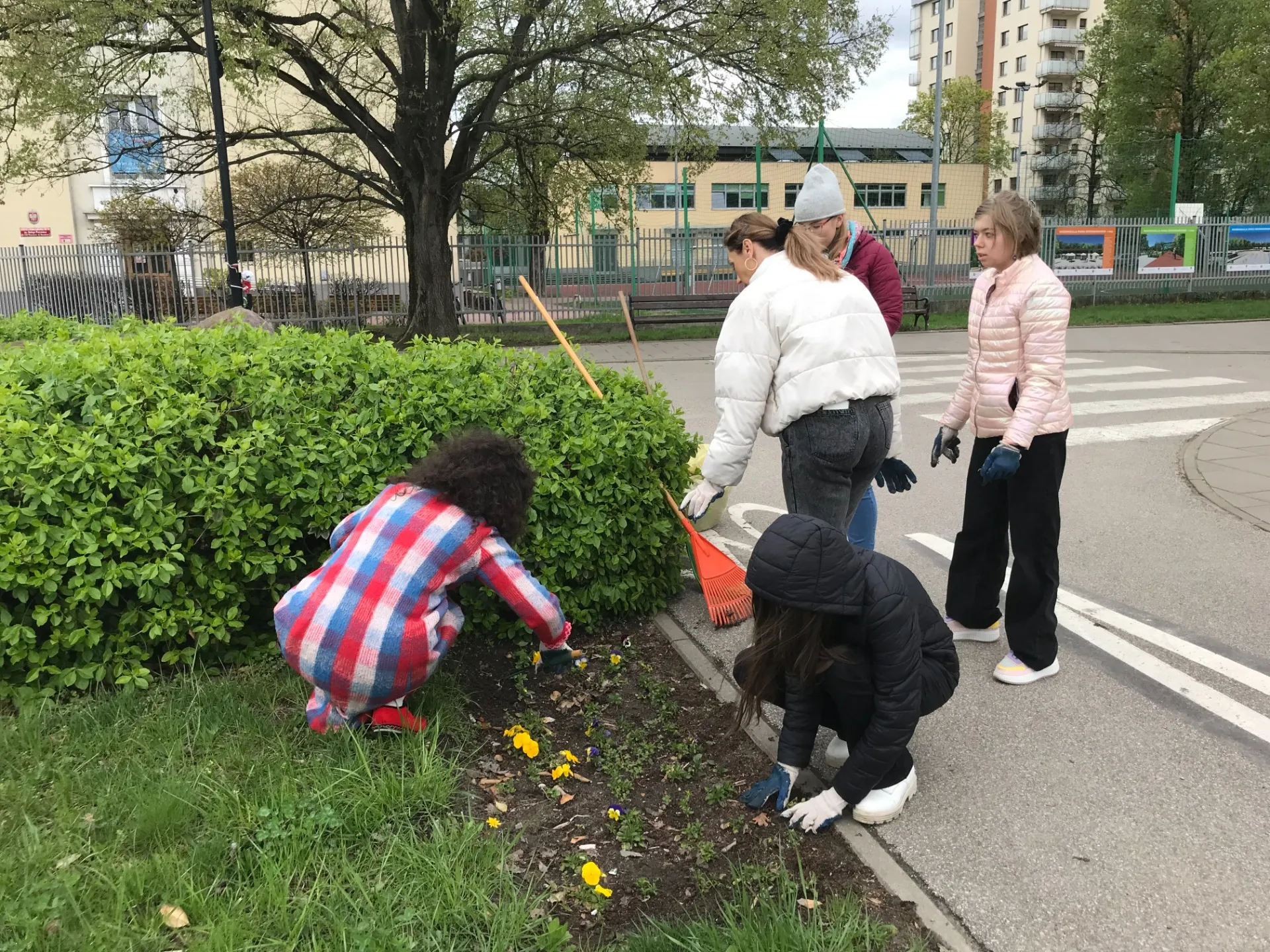 Sprzątanie Reduty Bródnowskiej