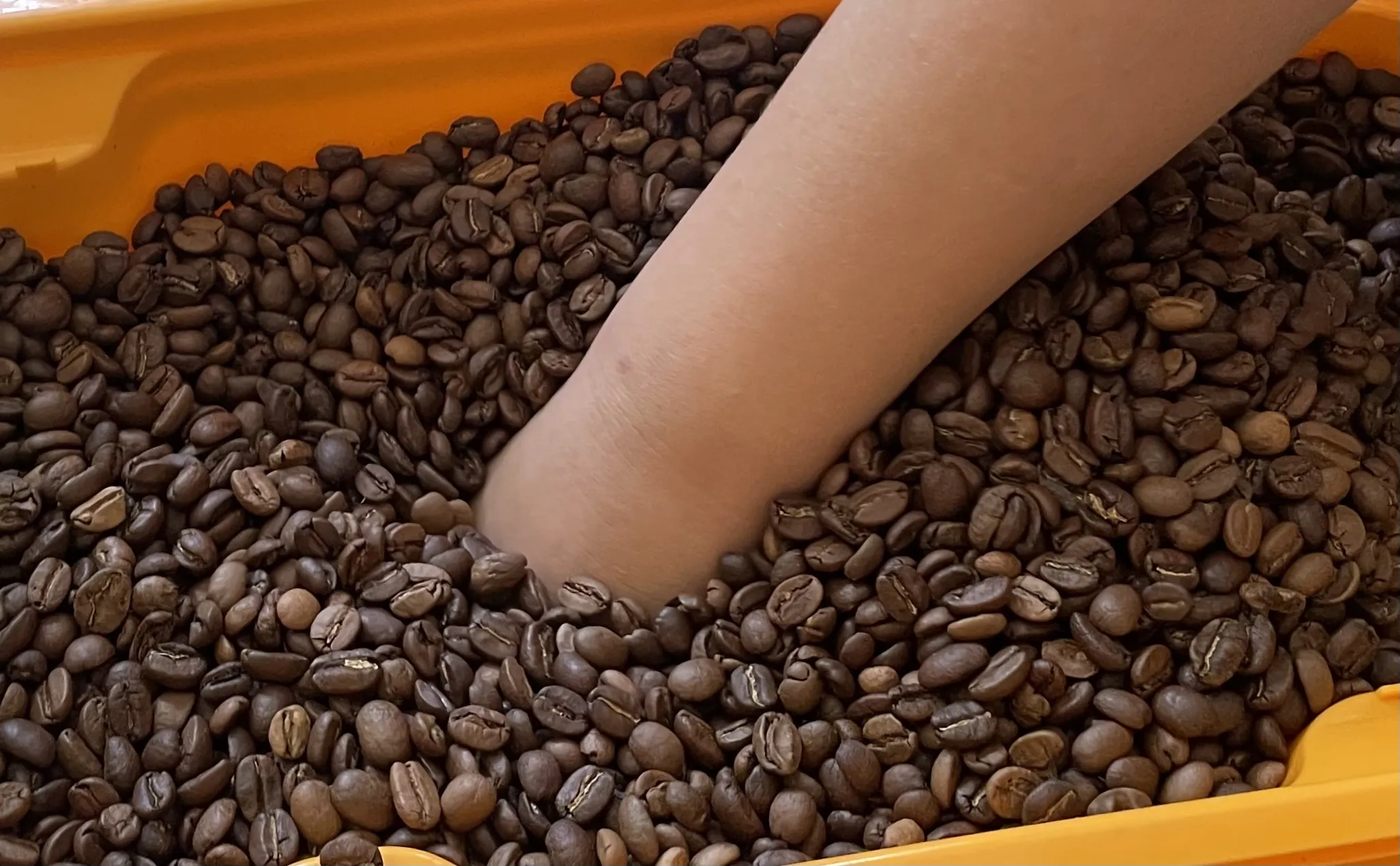 Warsztat sensoryczny z Anną Skotnicką