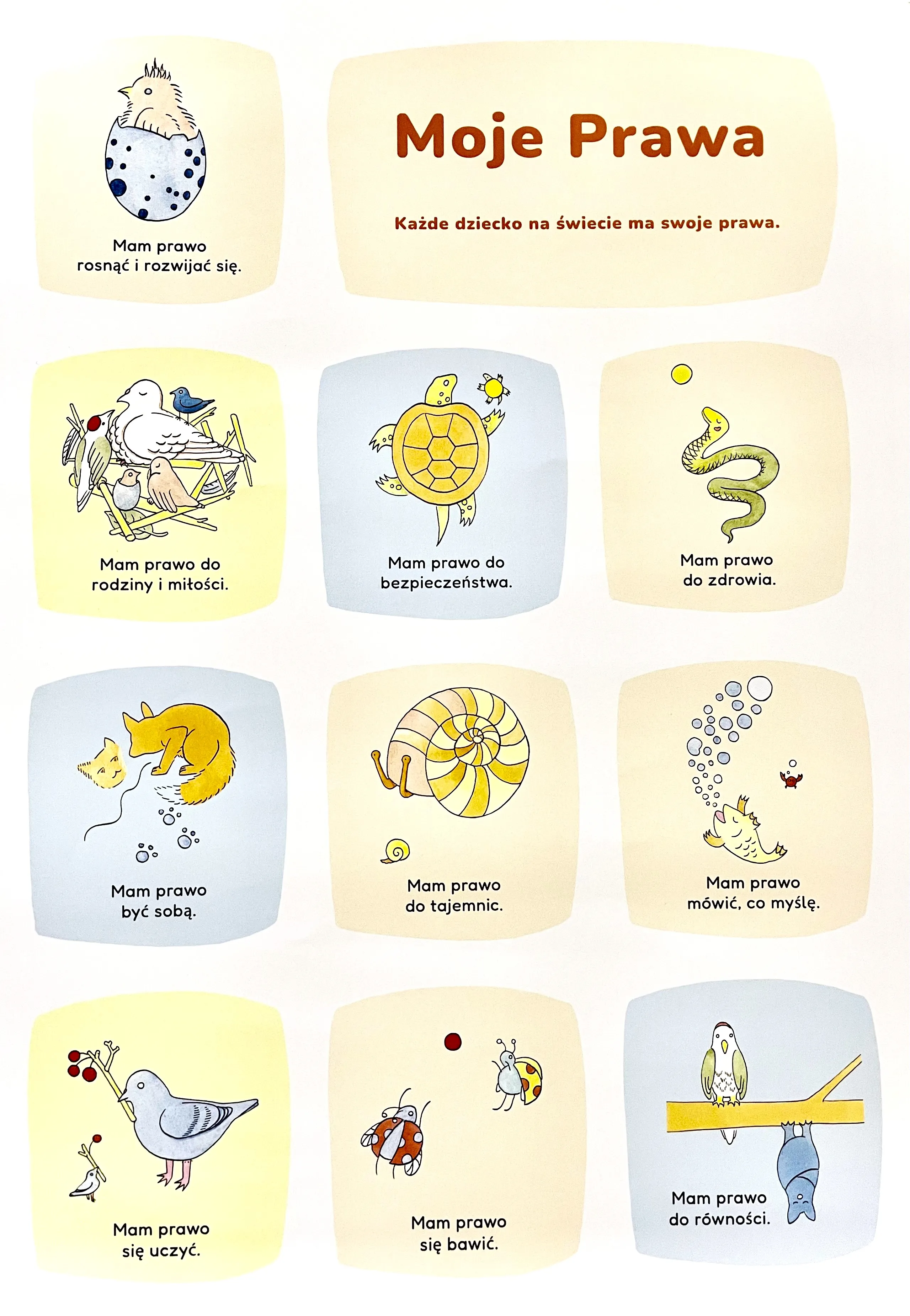 Warsztat „Prawo dziecka oczami dzieci”