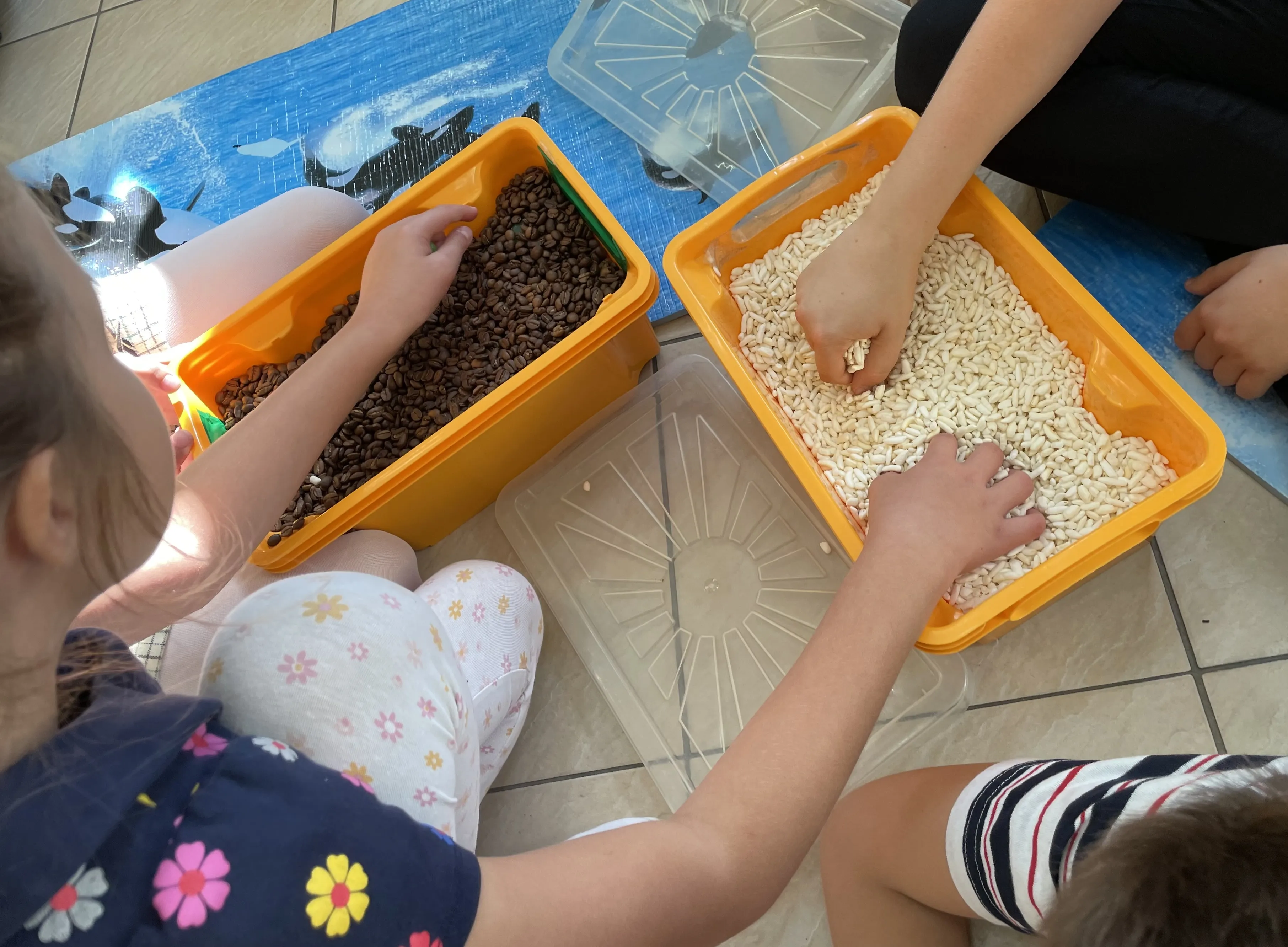 Warsztat sensoryczny z Anną Skotnicką