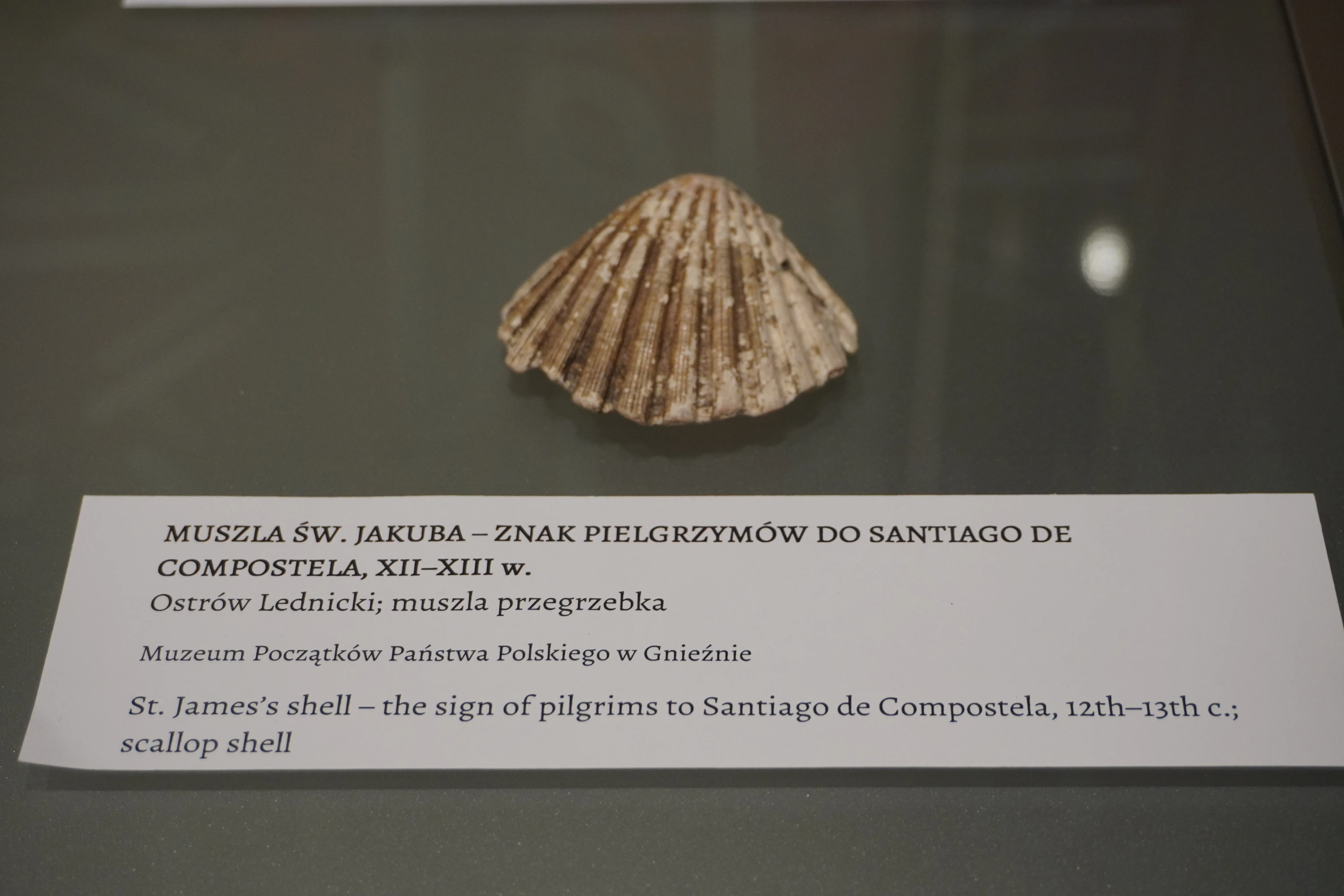 Wycieczka do Poznania, Ostrowa Lednickiego, Gniezna i Biskupina