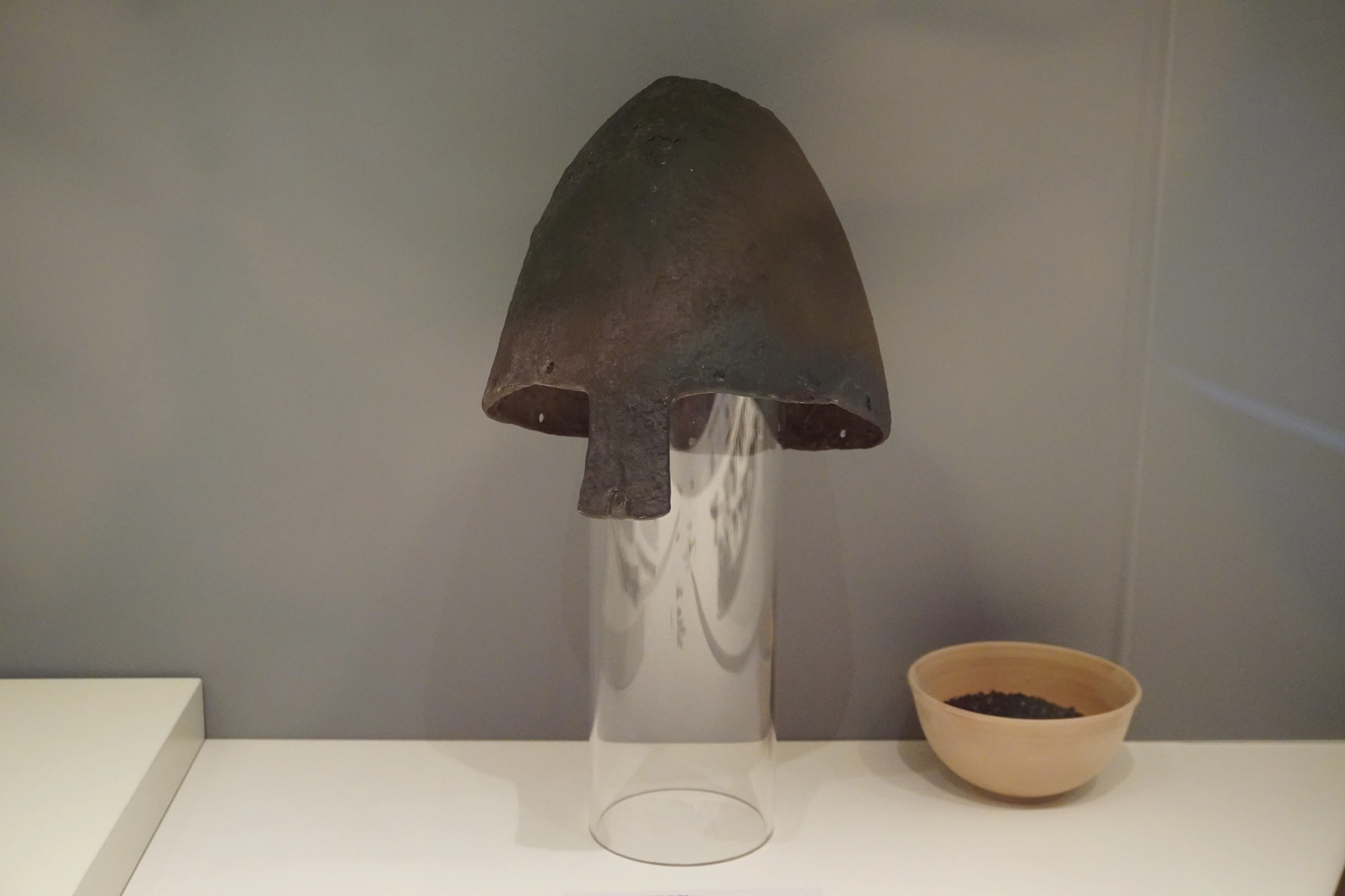 Wycieczka do Poznania, Ostrowa Lednickiego, Gniezna i Biskupina