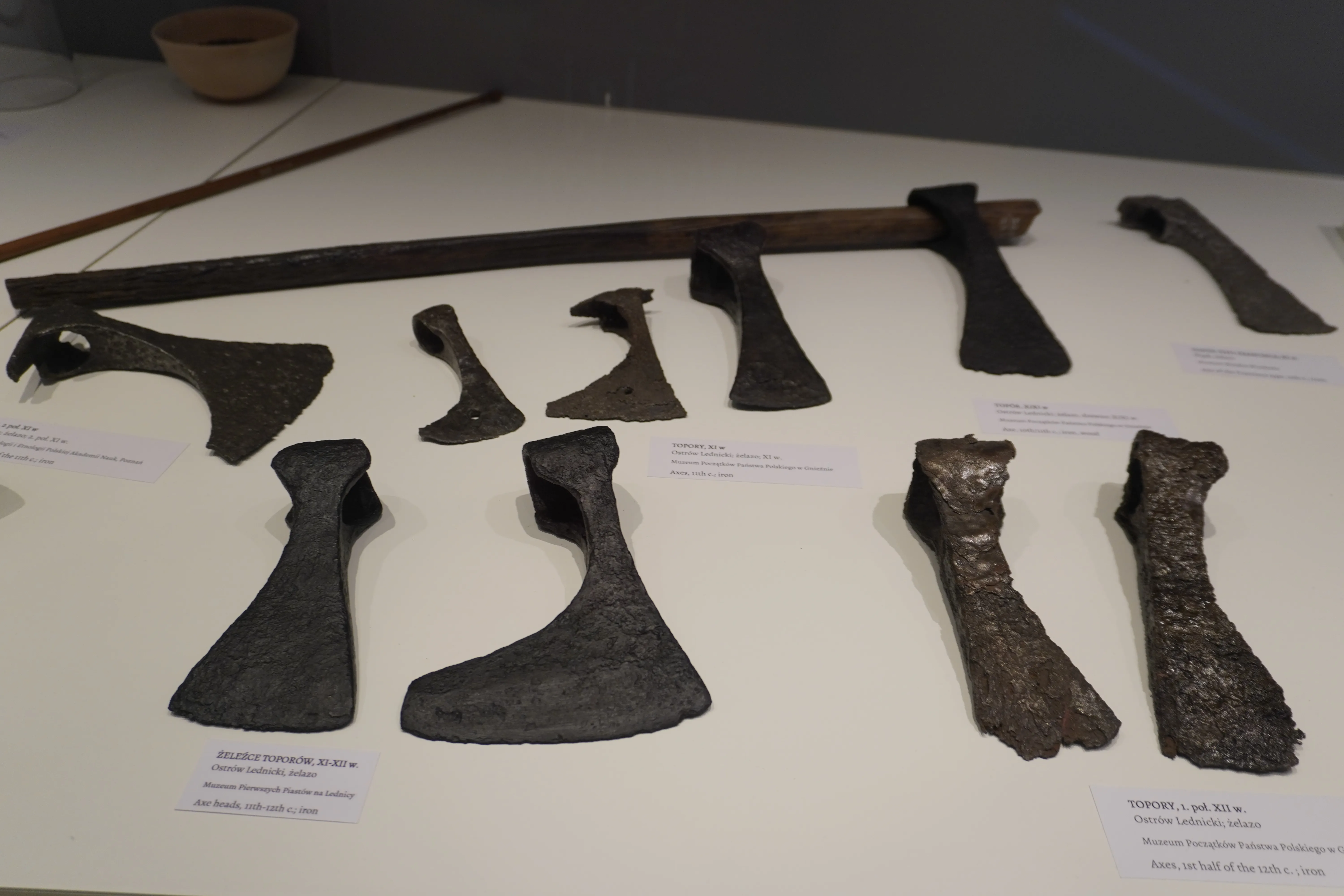 Wycieczka do Poznania, Ostrowa Lednickiego, Gniezna i Biskupina