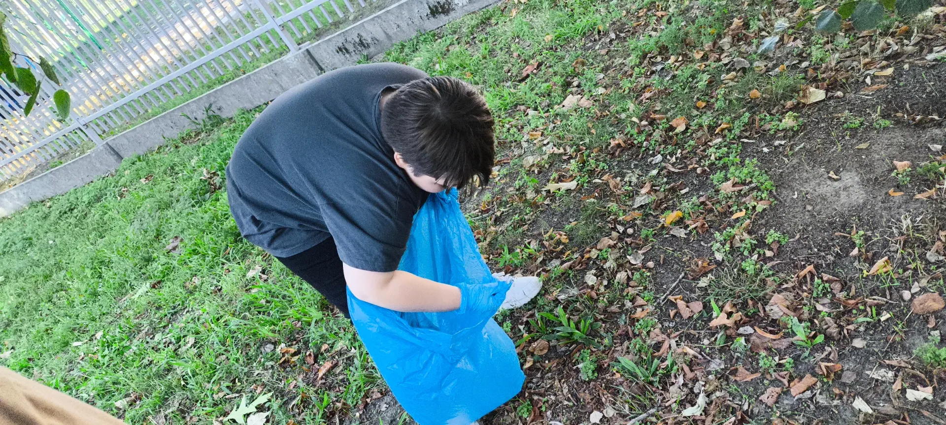 Sprzątanie świata 2025