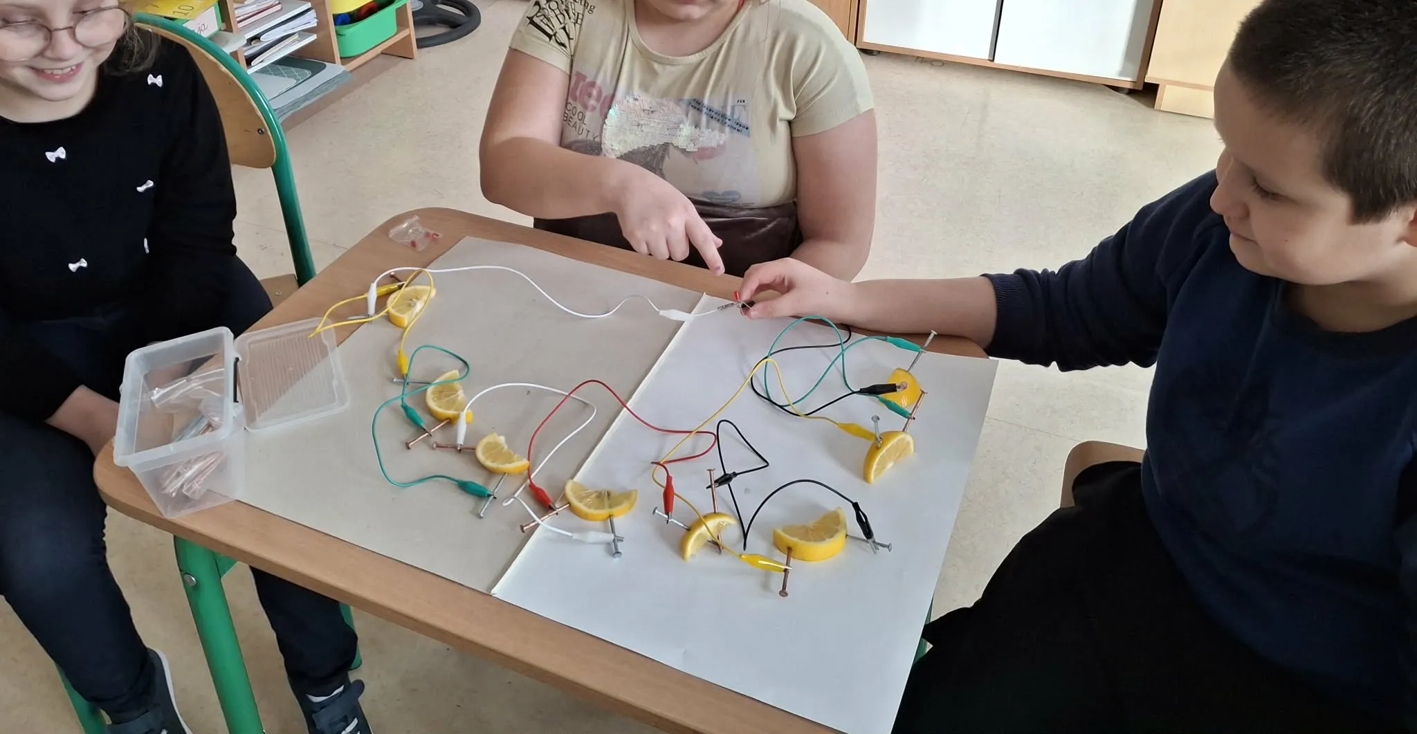 Projekty ekologiczne