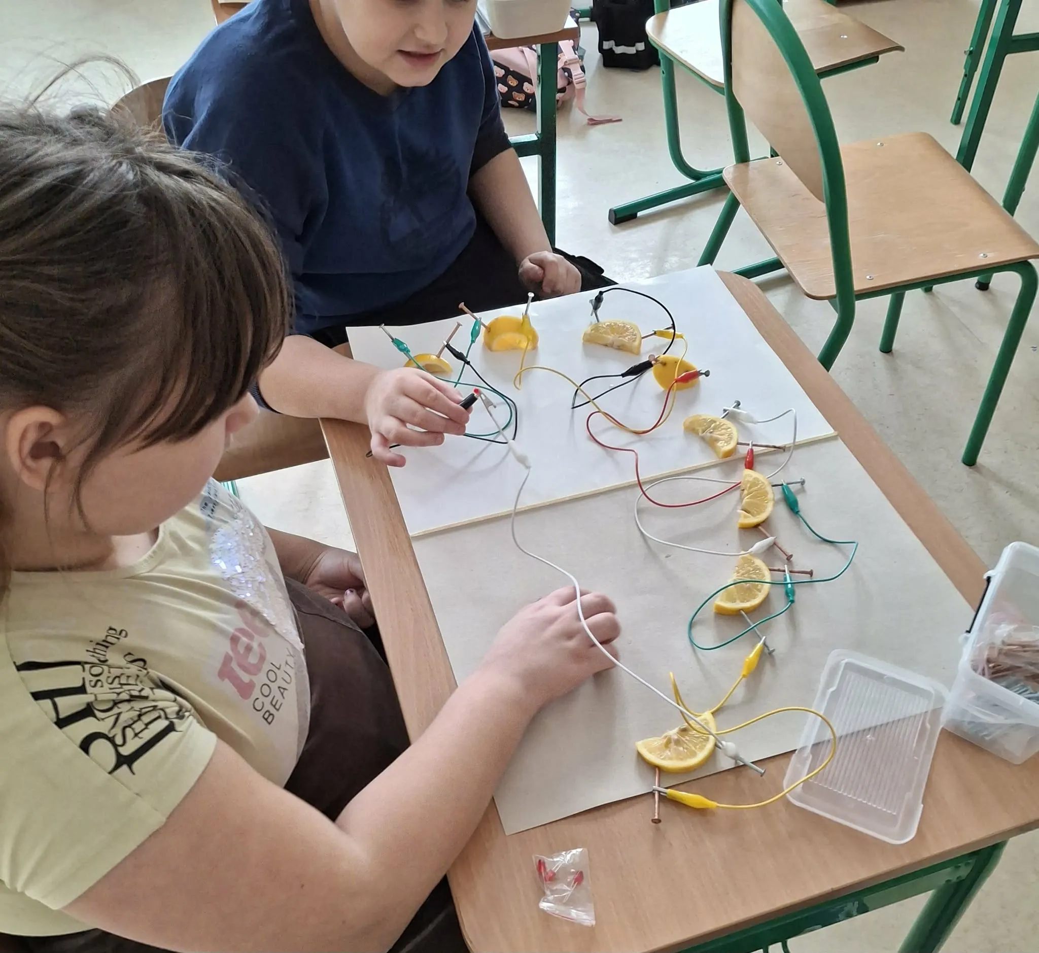 Projekty ekologiczne