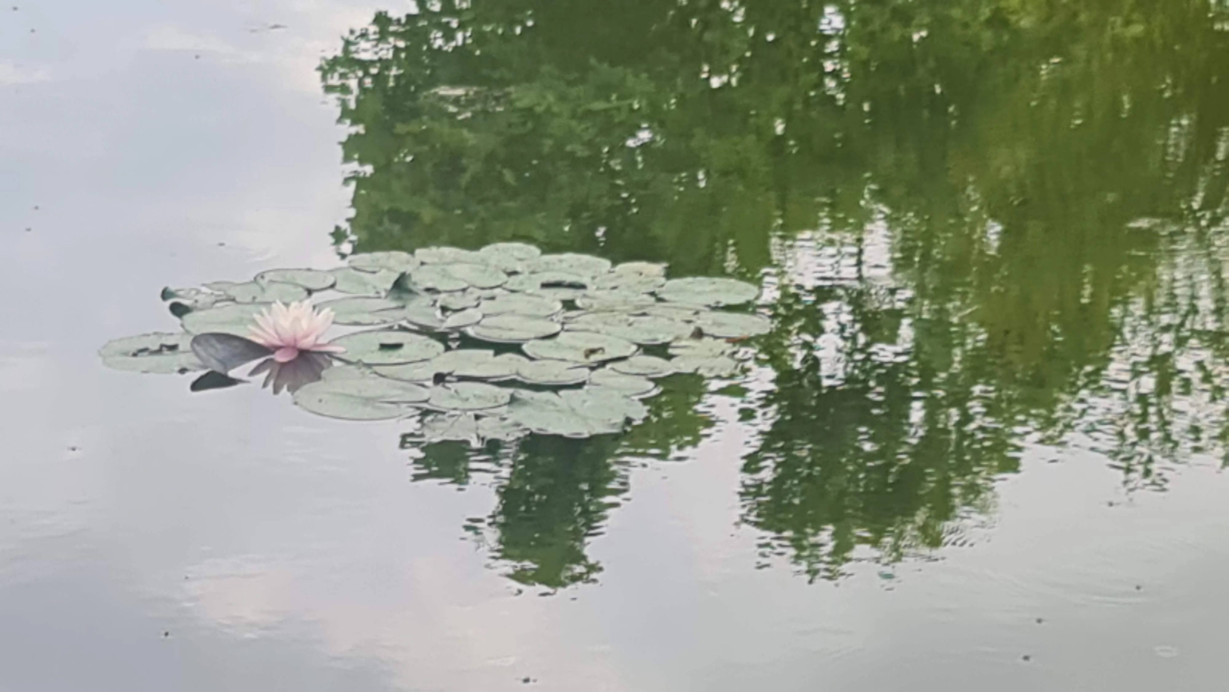 Lekcja biologii w Ogrodzie Botanicznym w Powsinie.