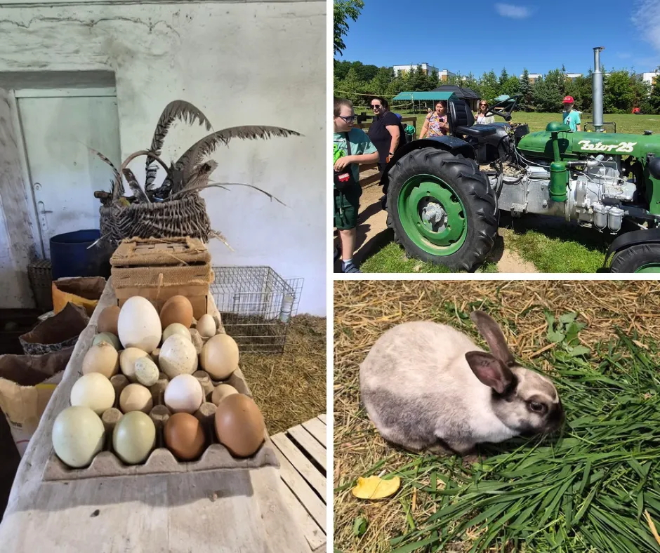 Wycieczka do Powsina na Farmę „Cztery Pory Roku”