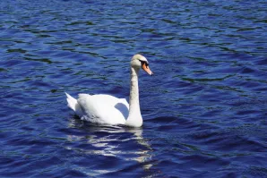 Wycieczka do Mazowieckiego Parku Krajobrazowego