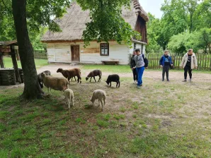 Wycieczka do Skansenu Wsi Radomskiej