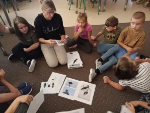 To już jesień - dokąd odlatują bociany?