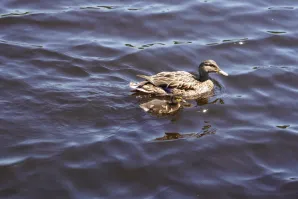 Wycieczka do Mazowieckiego Parku Krajobrazowego